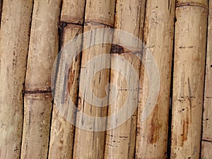 Natural bamboo fence background texture. Asian brown inclined st