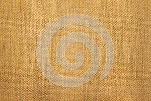 Natural bamboo texture