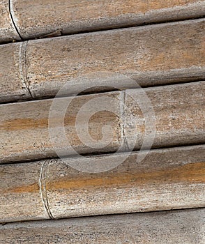 Natural bamboo trunk dry weathered, part of a wooden construction stacked of round trunks background