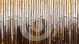 Natural bamboo wall background texture