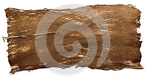 Natural bark texture