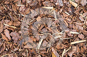 Natural bark used as a soil covering for mulch