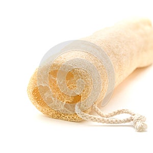 Natural bath luffa