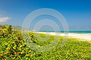 Natural beach of Arrecifes in national park Tayrona in Colombia