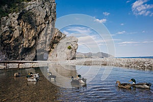 Natural beach in Cirali, Turkey