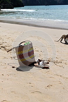 Natural beach with monkey