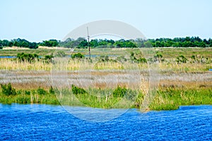 Louisiana Bayou Wetlands