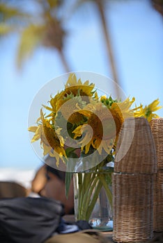 natural and beautiful yellow sunflower flower on the table decoration polem nature photo