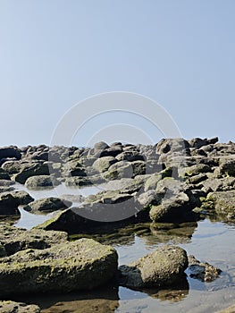 The natural beauty of Bangladesh cox bazar