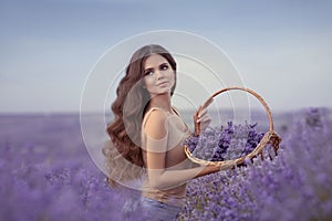 Natural beauty. Beautiful provence woman with basket flowers harvesting in lavender field at sunset. Attractive pretty girl with