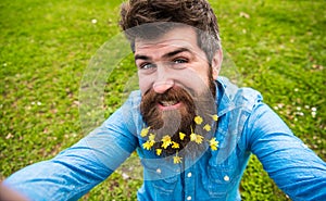 Natural beauty concept. Man with beard enjoys spring, green meadow background. Guy with lesser celandine flowers in