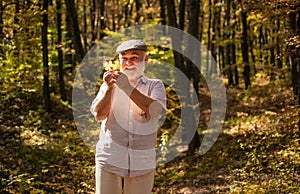 Natural beauty. Elderly man walk on natural landscape. Happy pensioner look at autumn leaves. Autumn nature. Natural