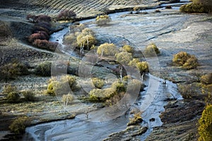 Natural beauty of grassland in Bashang, Hebei Province, China