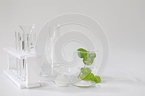 Natural beauty organic botany with herb leaves scientific equipment lab researched cosmetic concept photo