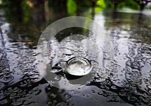 Natural beauty Raindrops Climate Water Rainydays