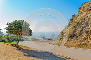 Natural Beauty of the Runyon Canyon Trail, California