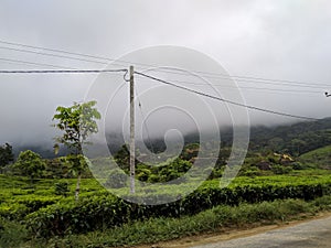 Natural beauty of sri lanka