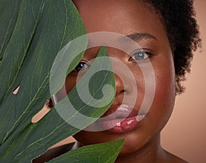 Natural beauty. Studio portrait of a beautiful young woman posing with a palm leaf against a brown background.