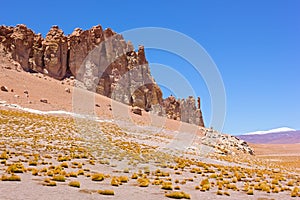 Natural beauty of a vast desert grassland at the foot of whimsical rock formations and majestic mountains with snow tops in the di