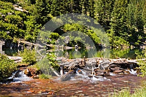Natural Beaver Dam photo