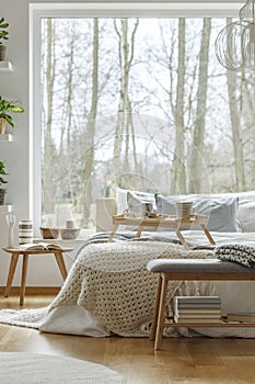 Natural bedroom interior of house