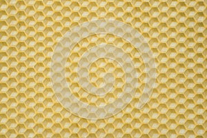 Natural beeswax. Honeycombs bee background.