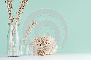 Natural beige organic accessories for interior in trendy green mint menthe interior - dried plants, flowers in  bottles, twigs.