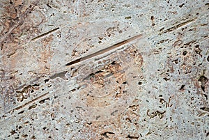 Natural beige stone texture - cut freshwater limestome Travertine, Italian banded marble, calc tufa photo