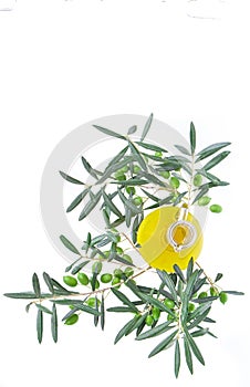 Natural and bio product. Greek olive oil. Top view with copy space.