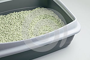 Natural biodegradable green tea tofu cat litter in litterbox