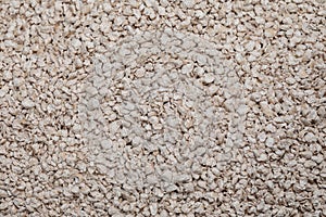 Natural biodegradable wood pellet litter in cat litterbox