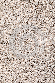 Natural biodegradable wood pellet litter in cat litterbox, closeup