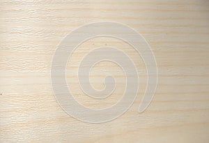 Natural bleached wood. Background. Texture. Close up shot