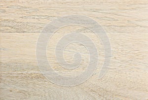 Natural Bleached Wood Panel Close-up Texture