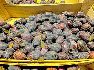 Natural blue plums are in a drawer in the store