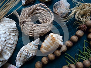 Natural blue shell recycled paper texture background