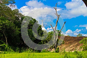 Natural blue sky and temple sri lanka