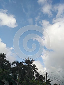 Natural Blue sky and white clouds with dark trees early morning sri Lanka