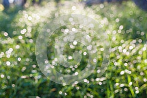 Natural bokeh background