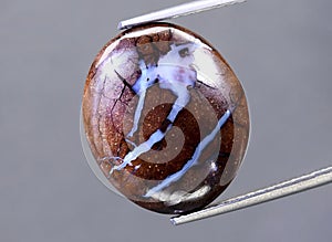 Natural boulder multi color opal gem on the background