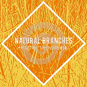 Natural branches vector textured background and eco grunge items for the creation of design banners