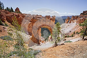 Natural Bridge In Bryce Canyon National Park