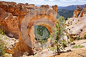 Natural Bridge In Bryce Canyon National Park