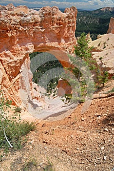 Natural Bridge in Bryce Canyon National Park
