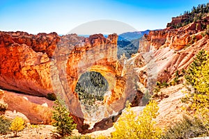 Natural Bridge in Bryce Canyon National Park during a Sunny Day, Utah