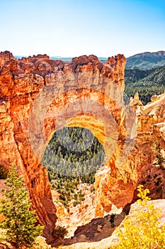 Natural Bridge in Bryce Canyon National Park during a Sunny Day, Utah