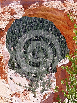 Natural Bridge, Bryce Canyon National Park, Utah