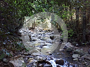 Natural Bridge Circuit, Springbrook