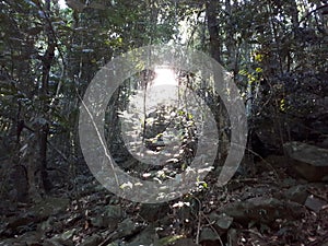 Natural Bridge Circuit, Springbrook