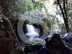 Natural Bridge Circuit, Springbrook